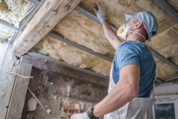 Best DIY Insulation Kits and Guidance in Palm City, FL